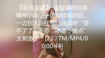 兔子先生 TZ-058 痴女OL谢罪无套中出-绫波丽