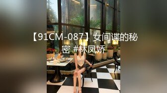 【91CM-087】女间谍的秘密 #林凤娇