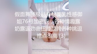 假面舞团极品身材美乳性感御姐76号加密版，各种情趣露奶露逼劲曲扭腰顶胯各种挑逗，撸点很高 (3)