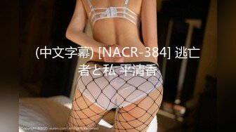 (中文字幕) [NACR-384] 逃亡者と私 平清香