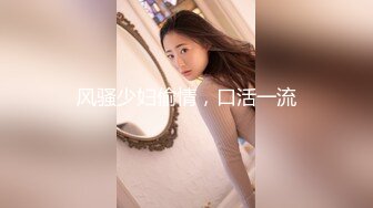 风骚少妇偷情，口活一流