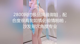 2800网约极品风骚御姐，配合度很高宛如情侣偷情啪啪，沙发掰穴角度专业