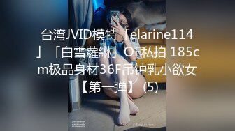 台湾JVID模特「elarine114」「白雪蘿綝」OF私拍 185cm极品身材36F吊钟乳小欲女【第一弹】 (5)