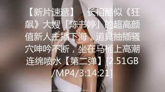 【极品厕拍】美女云集星巴克厕拍女厕 全程跟踪偷拍 青涩学妹初现 适合欣赏美臀后入的视角