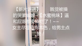 糖心Vlog 肉丝长腿女模下海记 淑怡