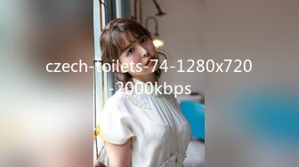 czech-toilets-74-1280x720-2000kbps