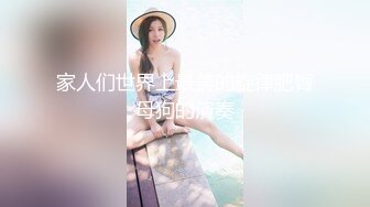 家人们世界上最美的旋律肥臀母狗的演奏