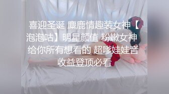 麻豆传媒-女神恋爱巴士 淫乱巴士的性爱惩处 麻豆女神苏清歌 上集