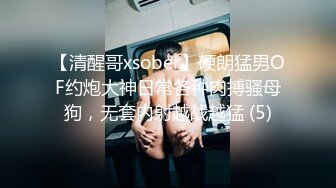 【清醒哥xsober】硬朗猛男OF约炮大神日常各种肉搏骚母狗，无套内射越战越猛 (5)