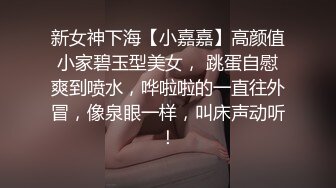 MDX-0004_麻豆x老司機兒子的班主任原片-赵佳美