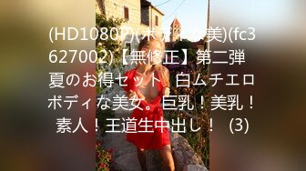 保持站立HD720P中英双字