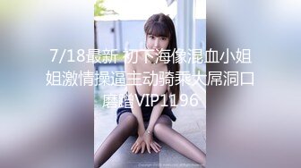 儿Victoria NO.004 黑丝吊带