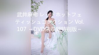 武井麻希 レッドホットフェティッシュコレクション Vol.107 ～DVD未収録特别版～。