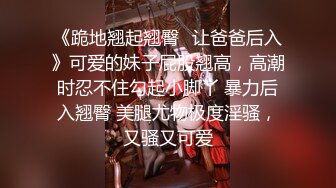 可盐可甜女菩萨，推特极品大奶美乳女神【糕糕】VIP私拍，可爱双马尾裸舞脱衣挑逗，诱惑难挡 (32)