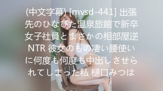 BJ韩叶拉2404021