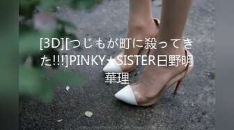 [3D][つじもが町に殺ってきた!!!]PINKY★SISTER日野明華理