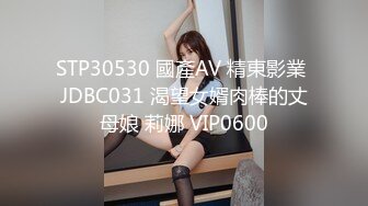 STP30530 國產AV 精東影業 JDBC031 渴望女婿肉棒的丈母娘 莉娜 VIP0600