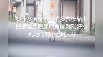 餐厅女厕全景偷拍多位极品少妇撅着屁股尿尿角度刚刚好拍到她们的小肥鲍 (3)