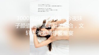 「国产AV主题秀——我眼中的极品美乳」完美乳型小姐姐主题合集⑥【22V】 (16)