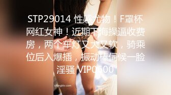 STP29014 性感尤物！F罩杯网红女神！近期下海操逼收费房，两个车灯又大又软，骑乘位后入爆插，振动棒伺候一脸淫骚 VIP0600