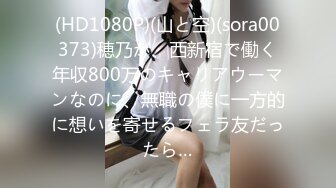 (HD1080P)(山と空)(sora00373)穂乃が、西新宿で働く年収800万のキャリアウーマンなのに、無職の僕に一方的に想いを寄せるフェラ友だったら…