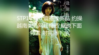 夢魔小鎮柯爾內莉卡 2