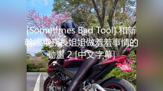 [Sometimes Bad Tool] 和新幹線乘務長姐姐做羞羞事情的動畫 2 [中文字幕]